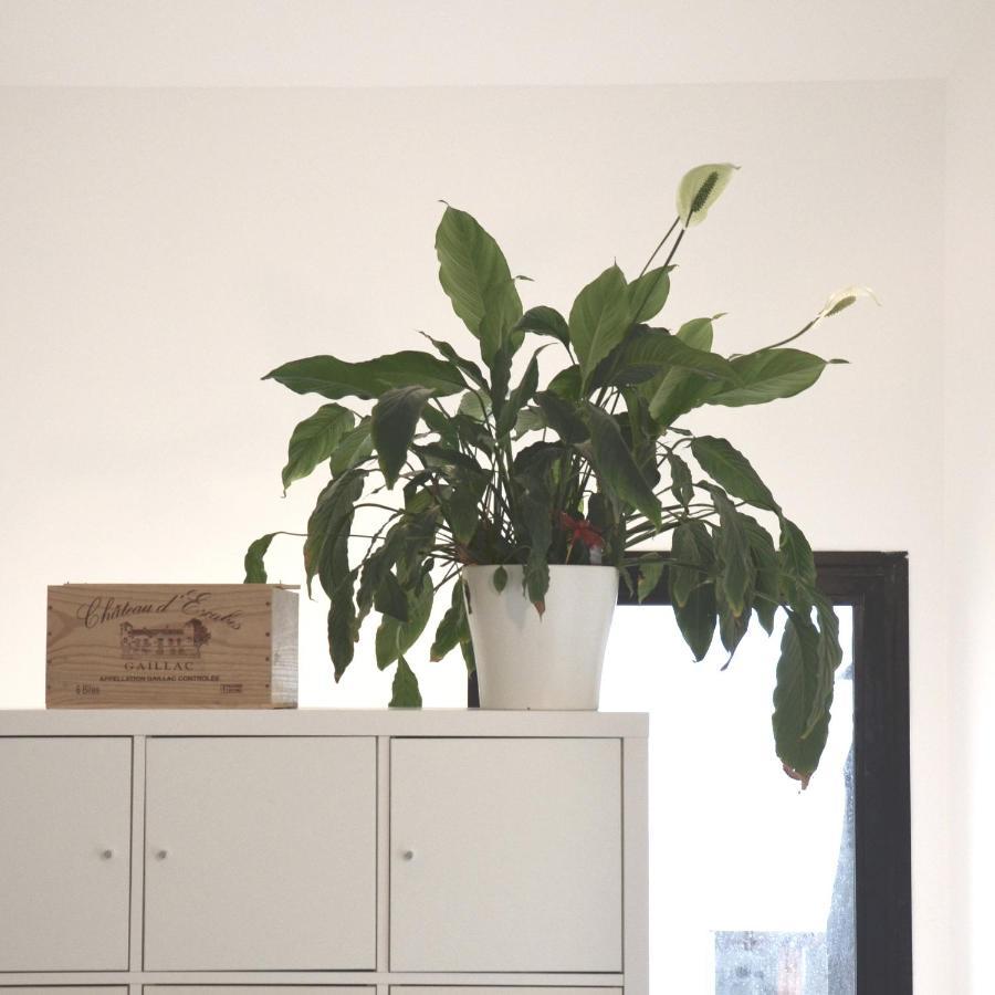Plaisance Bouguenais - Appartement Nantes - Parking Gratuit Esterno foto
